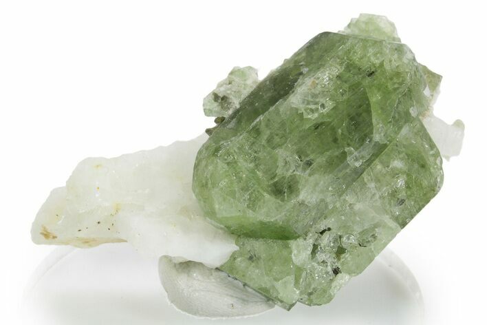 Glossy Diopside Crystals on Calcite - Afghanistan #354664